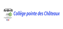 logo client